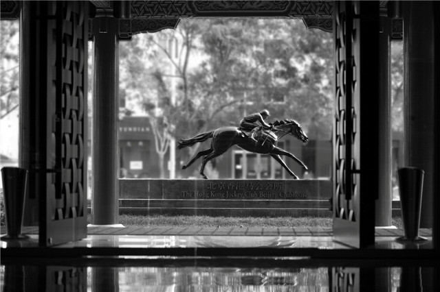 铜马 Horse Statue_WXF.jpg