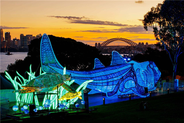 VividSydney2017_TarongaZoo_PortJacksonShark_DestinationNSW_James Horan 0001.jpg