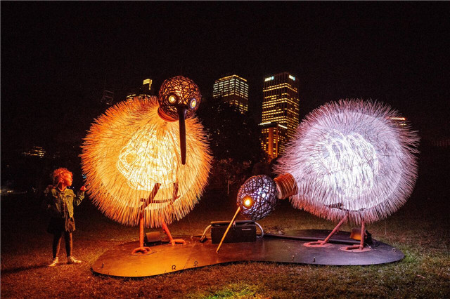 VividSydney2017_RoyalBotanicGardens_BirdsOfLumos_Destination NSW_James Horan 0004.jpg