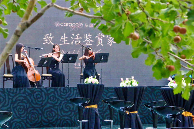 乐队演奏.jpg