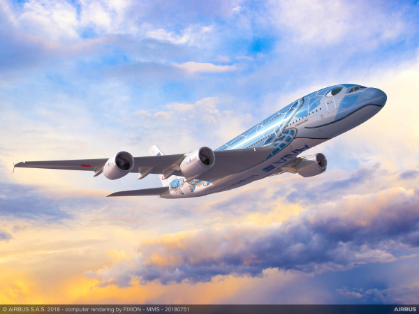 1 全日空A380海龟彩绘机.jpg
