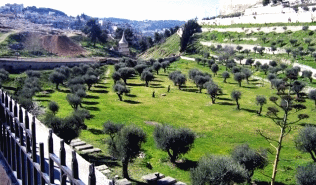 batch_Mount of Olives.gif