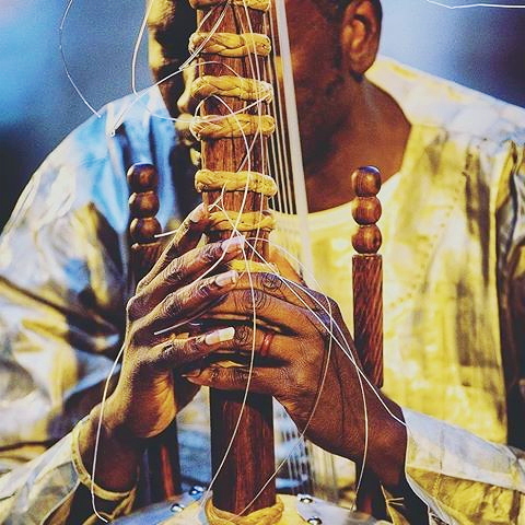 broken musical instruments.jpg