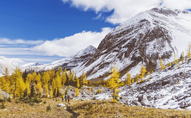 1569111067751093035.gif batch_lifeadd1.gif