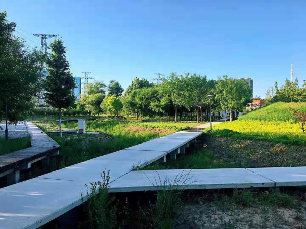永兴河湿地公园图片